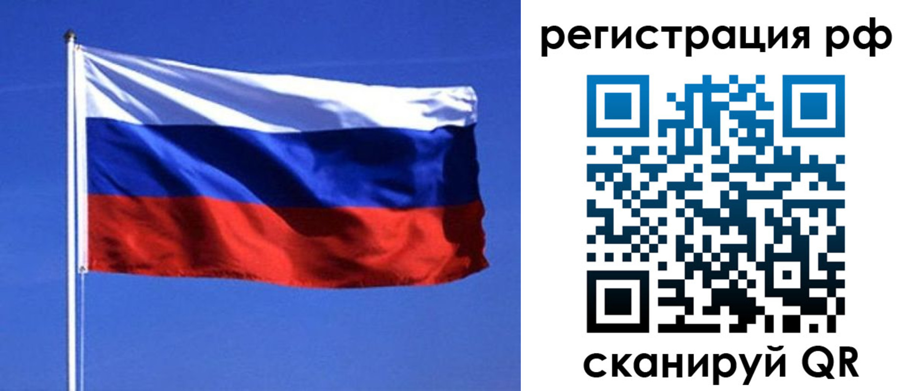 прописка гарантия в Выборге
